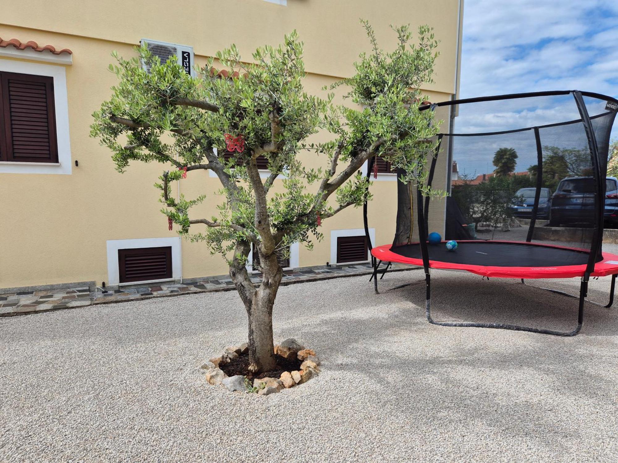 Apartment Vinja Porec - Privat Garden - Whirlpool Extérieur photo